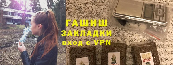 индика Козельск