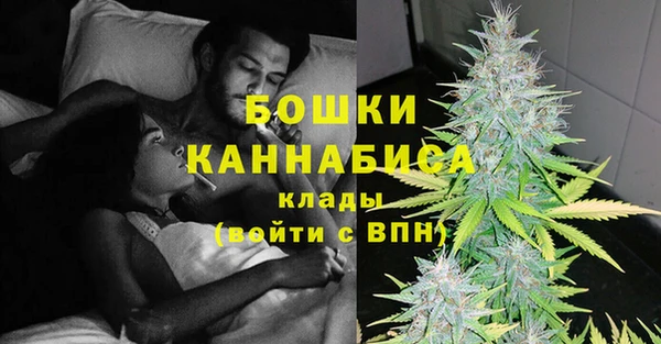 PSILOCYBIN Костерёво